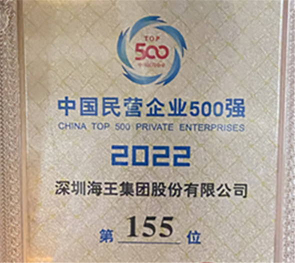 中国民营企业500强 第155名 奖牌