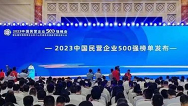 海王集团位列2023中国民营企业500强第203位、2023中国制造业民营企业500强第139位