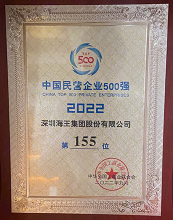 中国民营企业500强 第155名 奖牌.jpg
